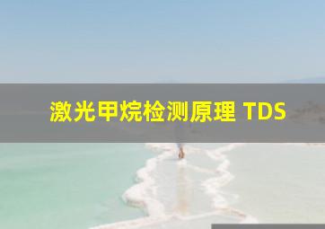 激光甲烷检测原理 TDS